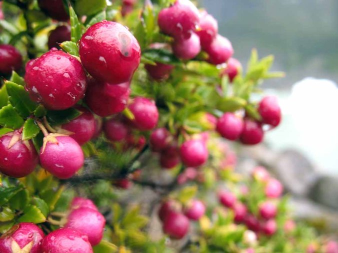 349127872_1559233a67_b