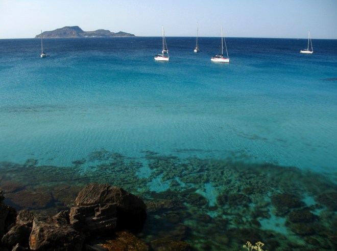 3668385985_3f84a644c7_b