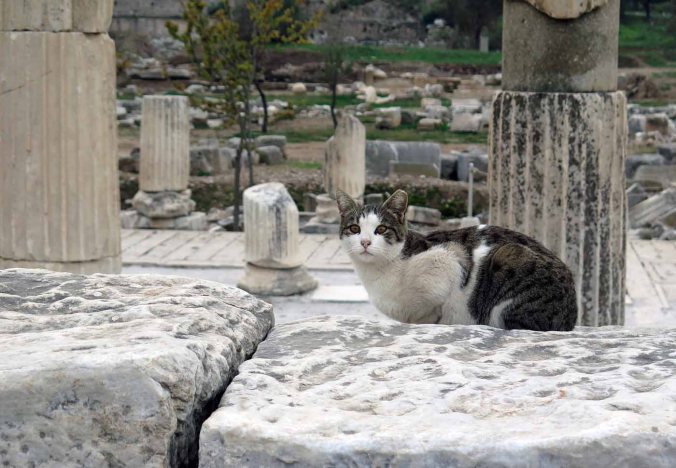 ephesus04