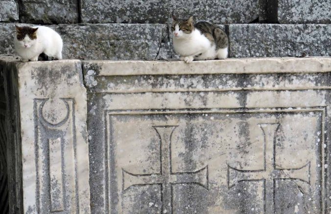 ephesus07