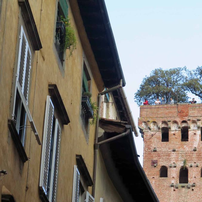 lucca03