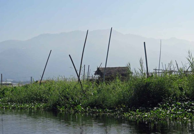 inle 008