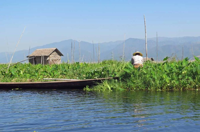 inle 017