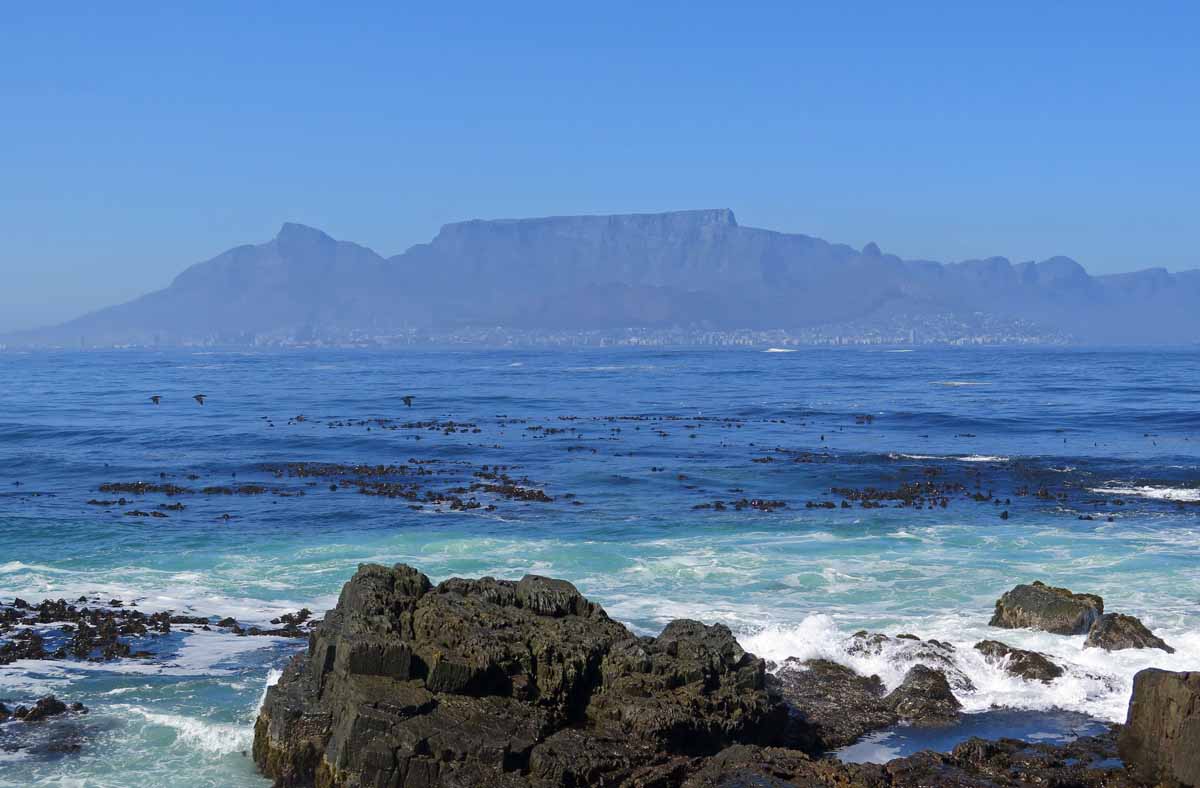 south africa 39
